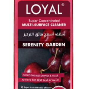 منظف مركز لويال منظف مركز